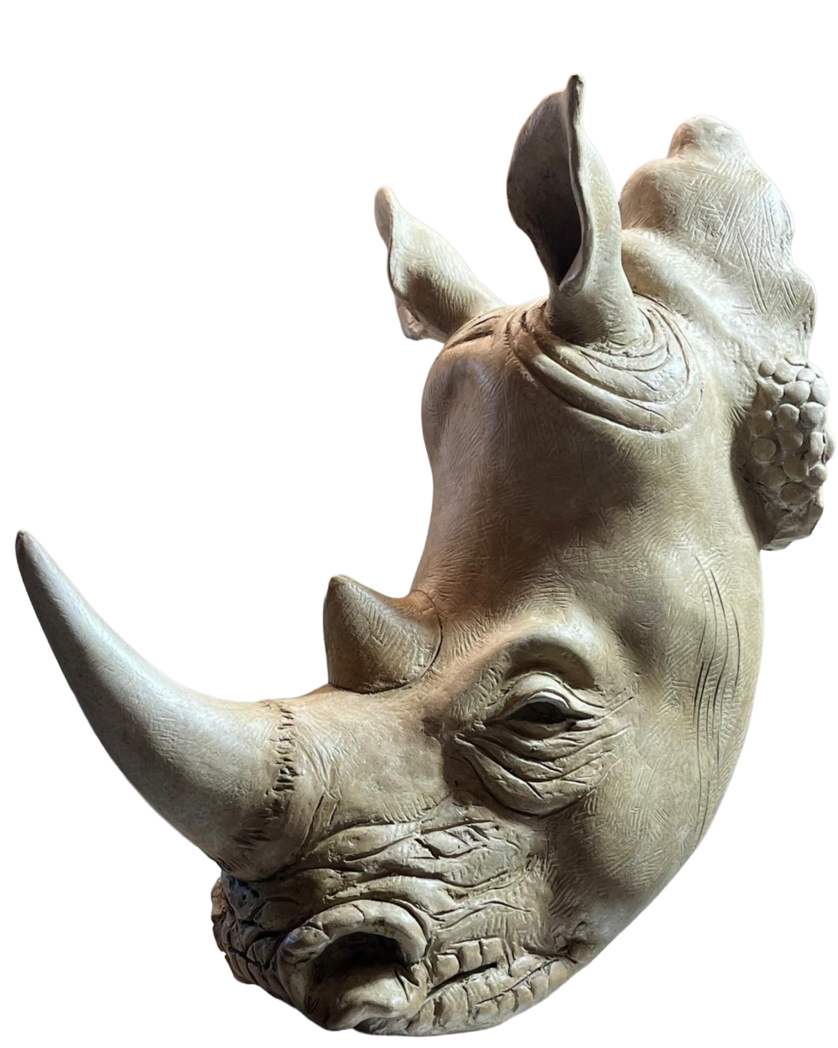"The Rhino"