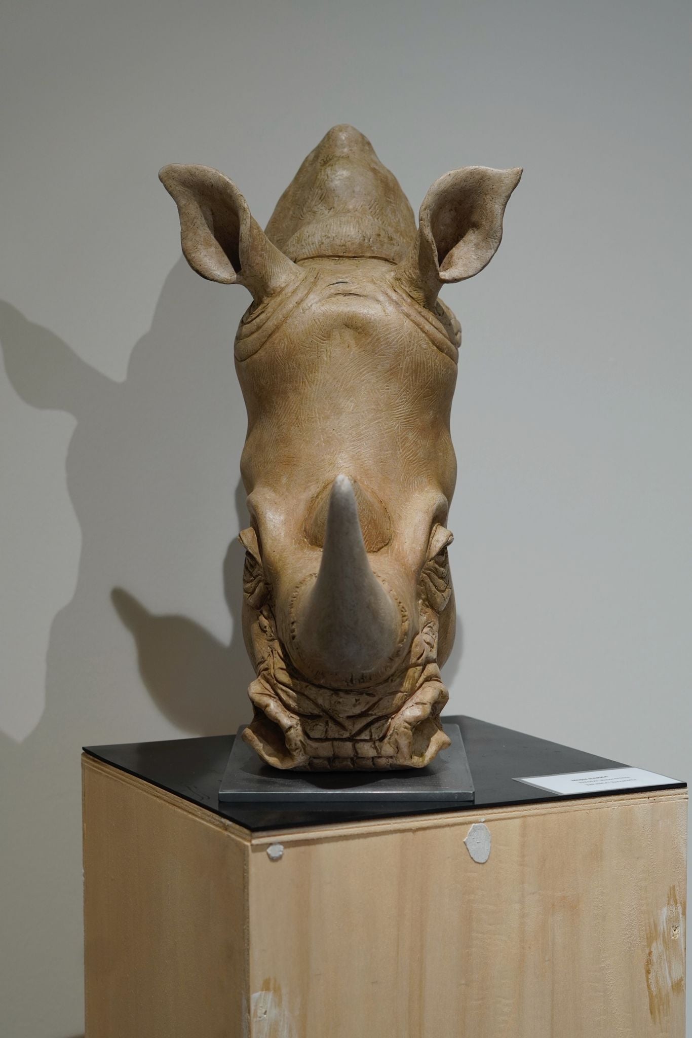 "The Rhino"
