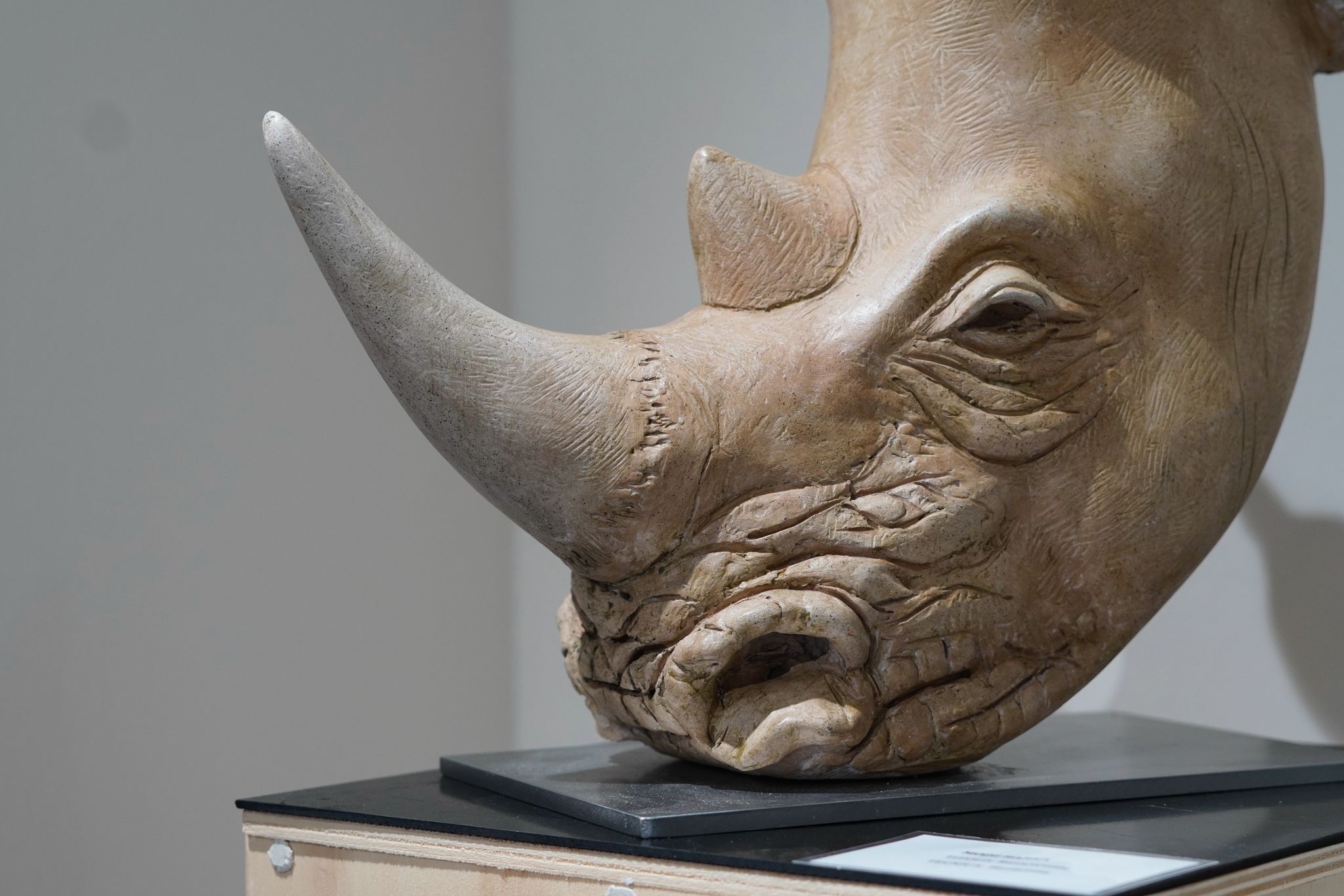 "The Rhino"