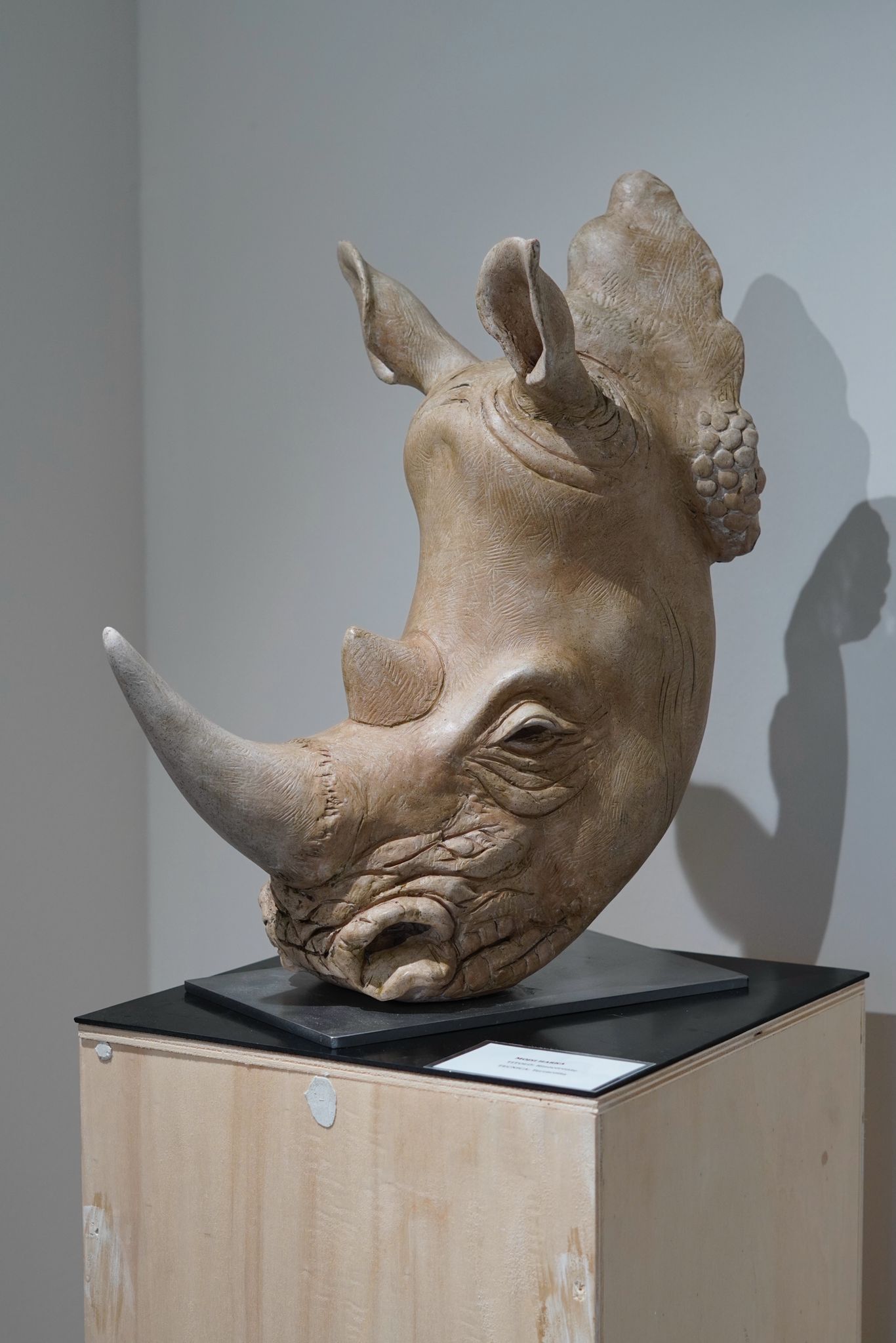 "The Rhino"