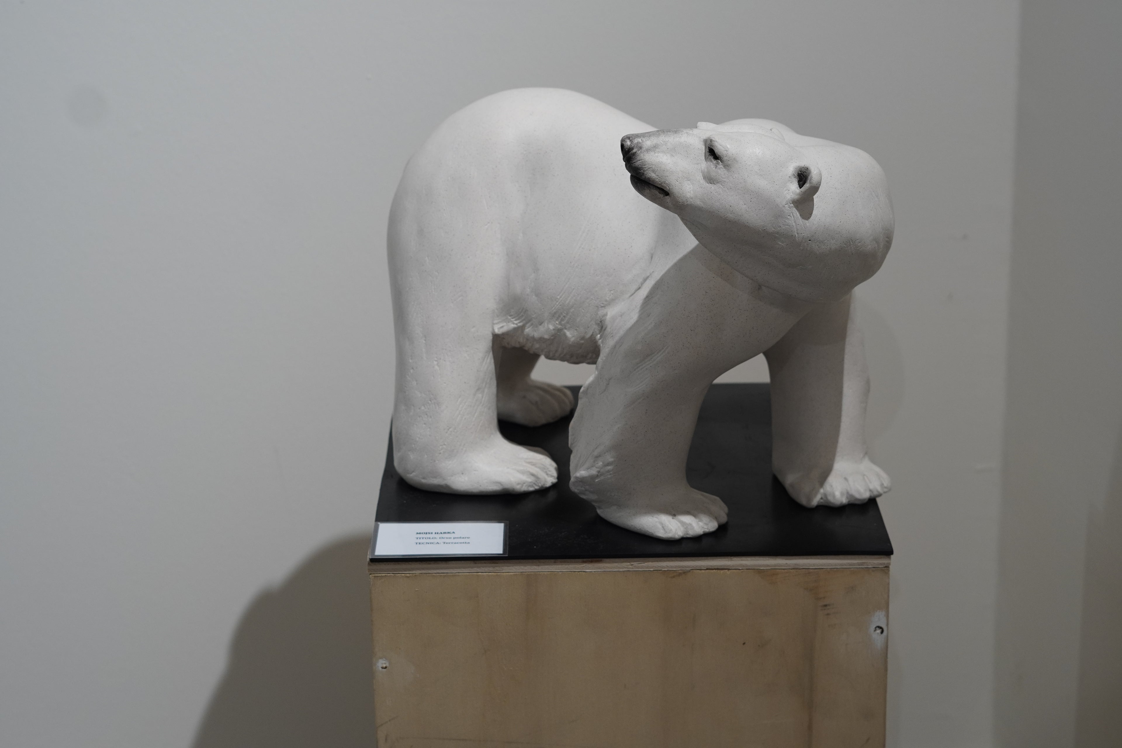 "Polar Bear"