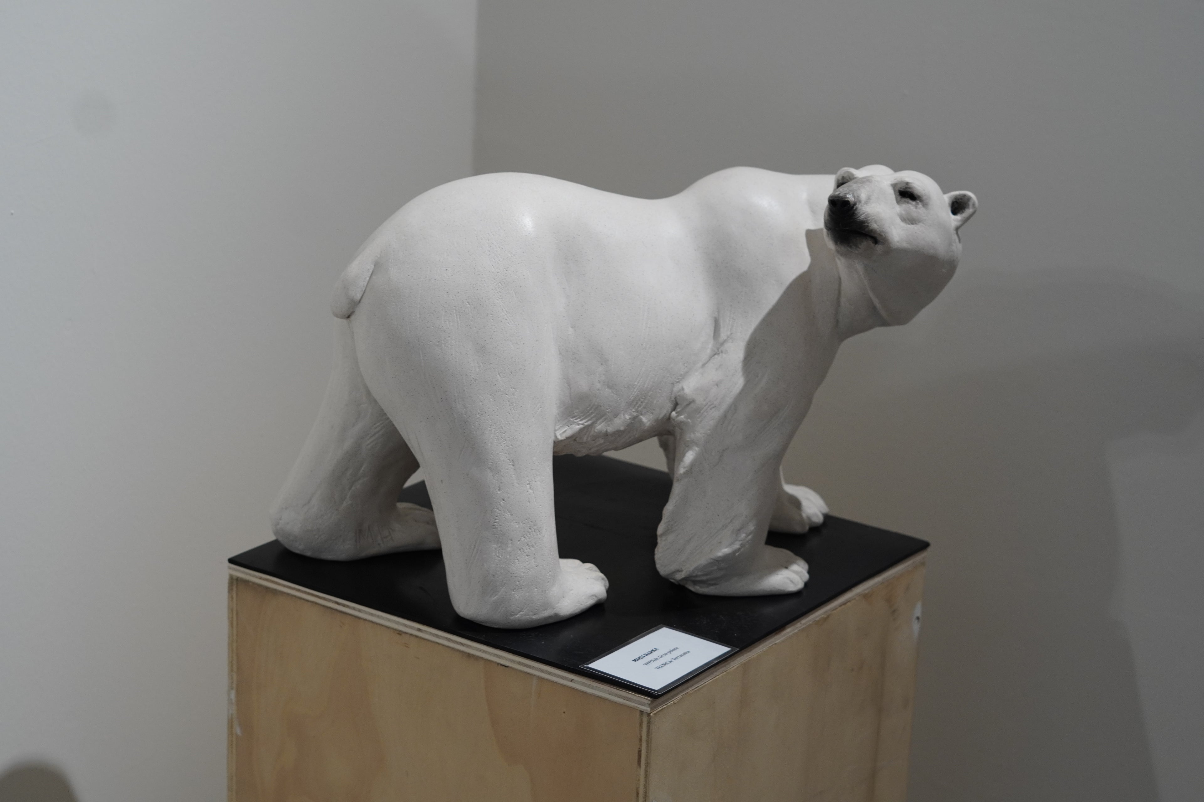 "Polar Bear"
